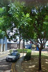 Yishun Ring Road (Yishun),  #634518931